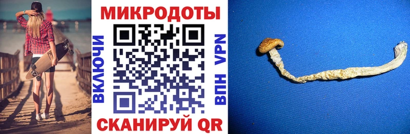 Псилоцибиновые грибы мухоморы  Усть-Джегута 